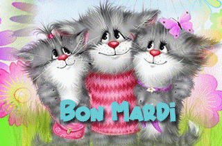 Gif animé Bon mardi chats